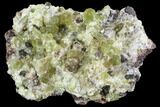 Apatite Crystals with Quartz - Durango, Mexico #91441-2